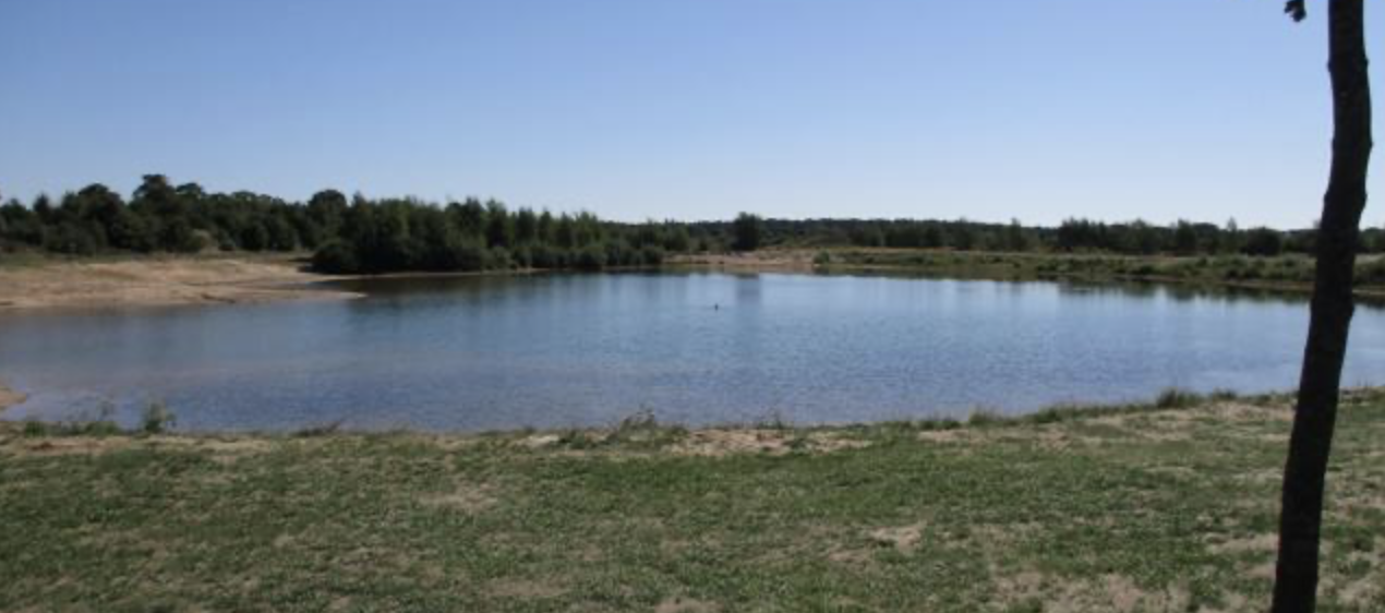 Naturbadesee Essel