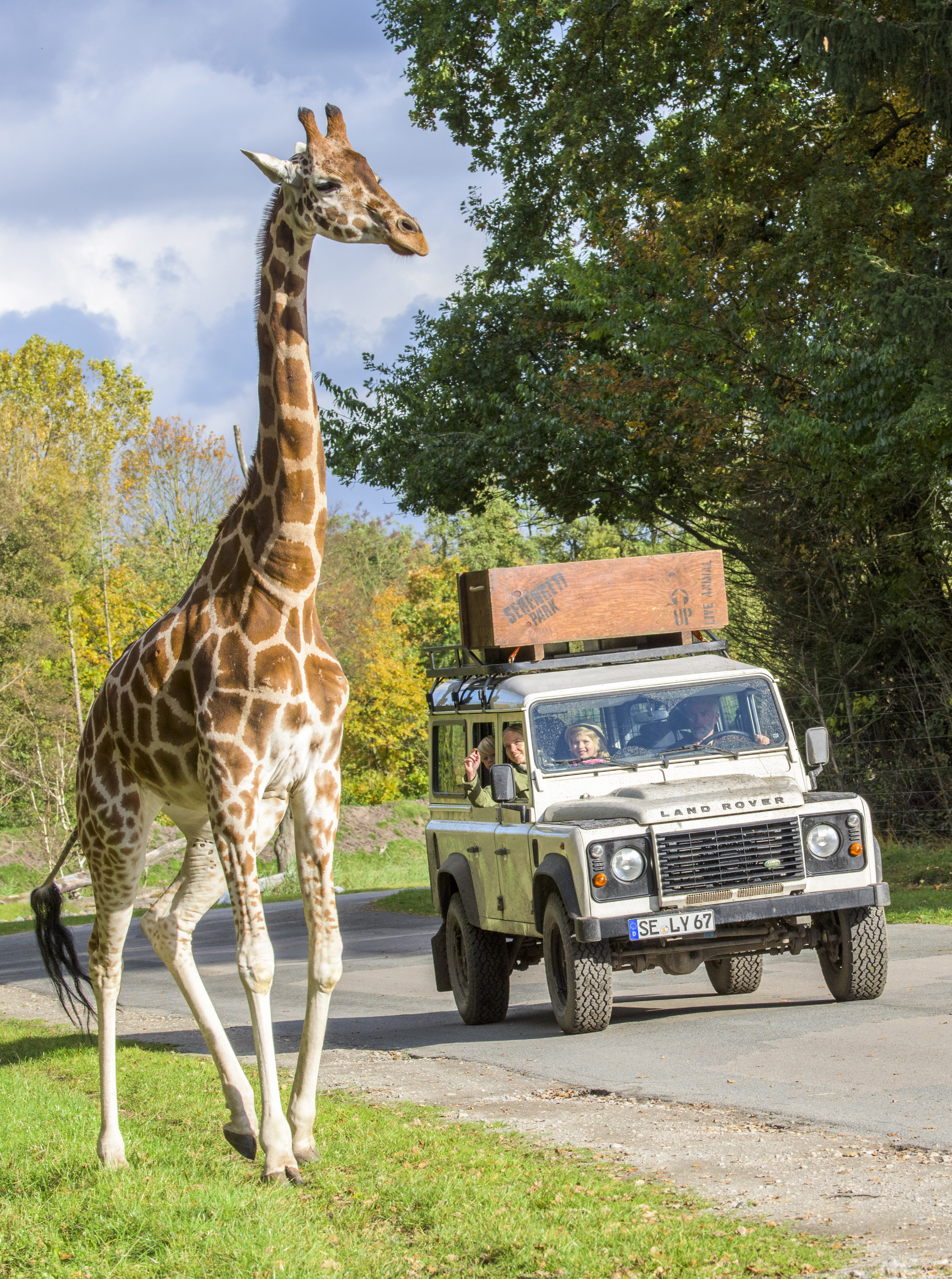 Serengeti Park