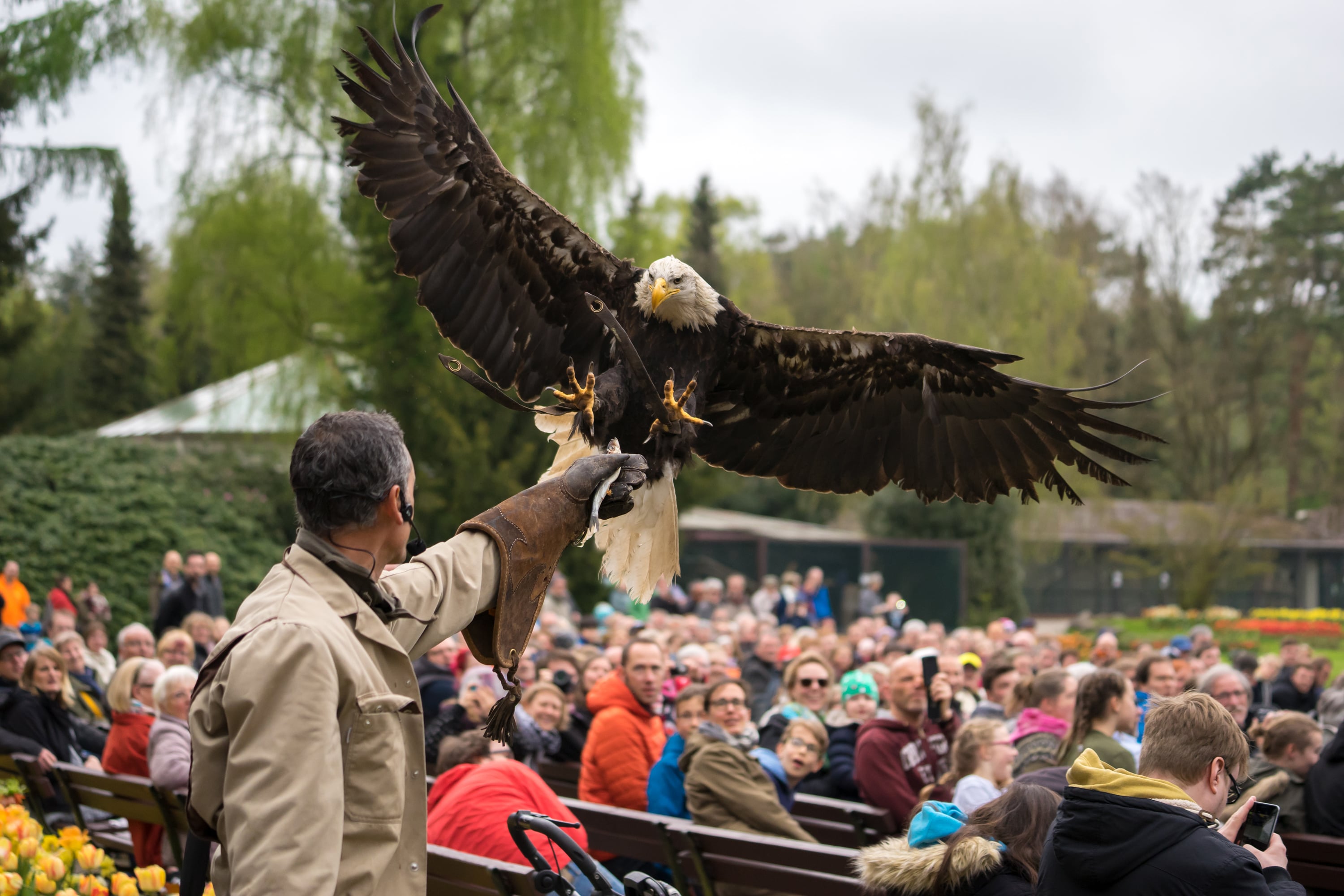 Vogelpark Walsrode