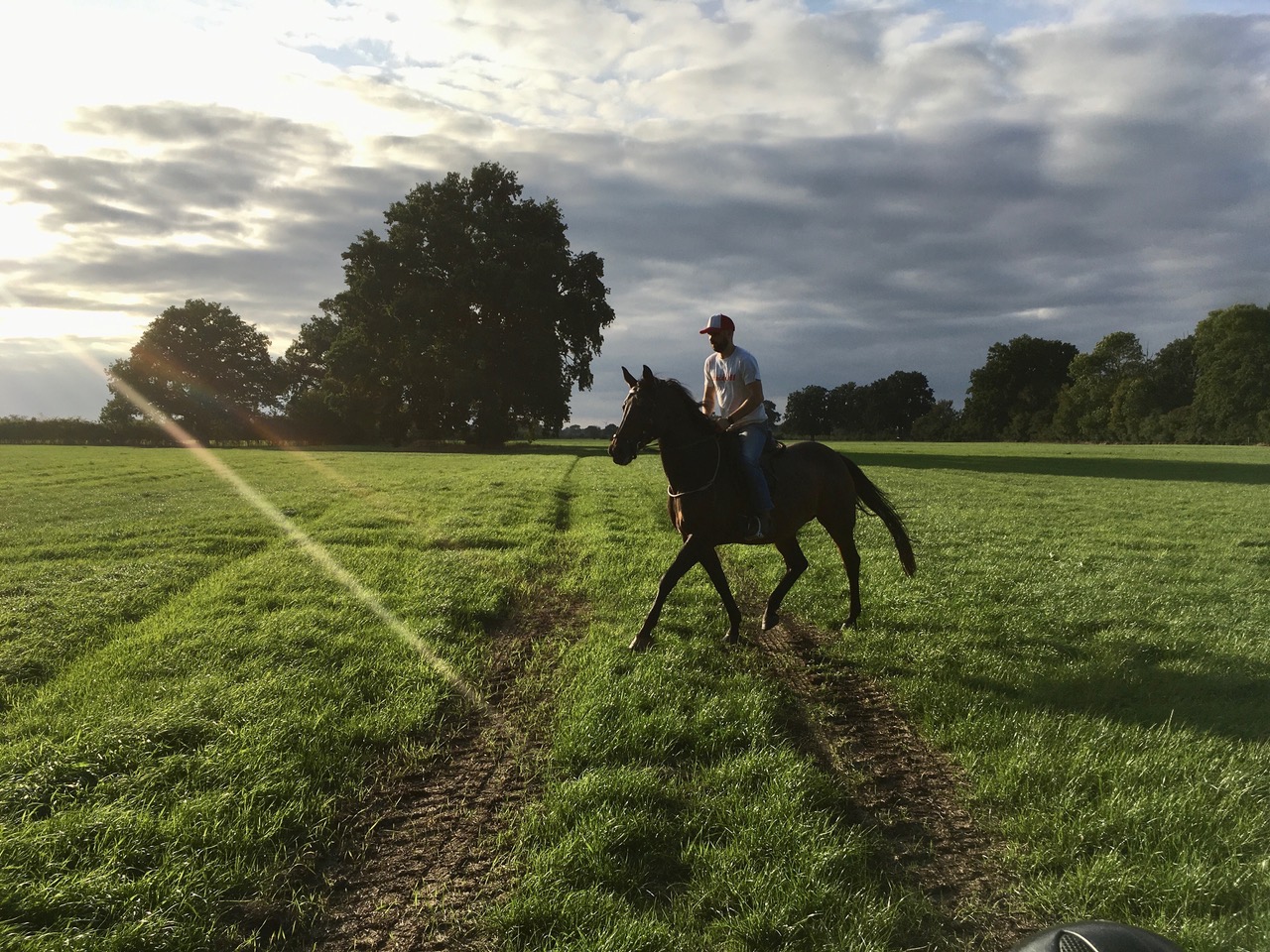 Reiten auf dem Paddock-Trail Hof Grindau